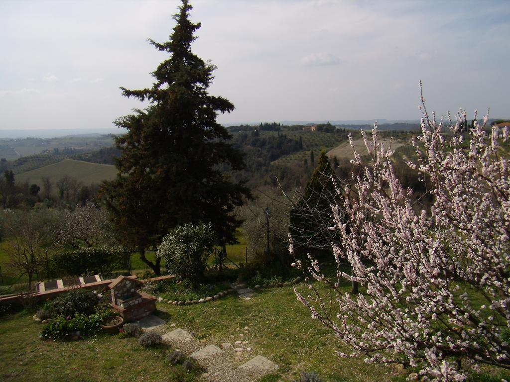Nido Di Rondine Apartment Montespertoli Luaran gambar