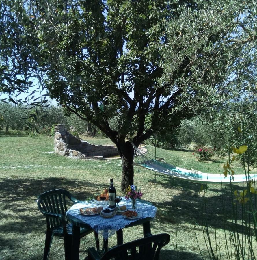 Nido Di Rondine Apartment Montespertoli Luaran gambar